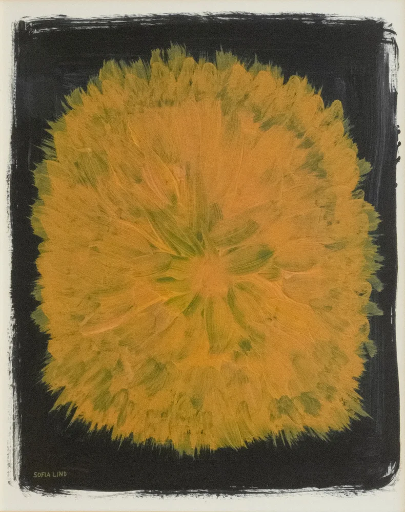 Dandelion plakat 40 x 50 cm v:2986382