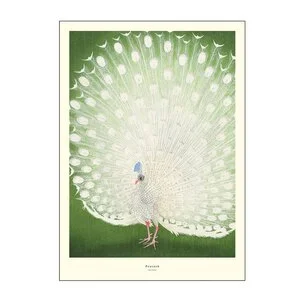 A.P. Atelier poster 30×40 cm peacock v:8829815 A.P. Atelier poster 30×40 cm peacock v:8829815