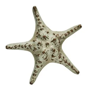 Shellille dekorasjon 5 cm lin v:8167862